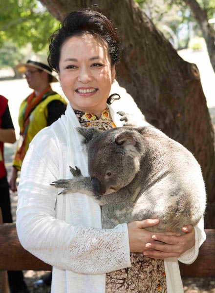 Koalas steal the show at G20 in Brisbane