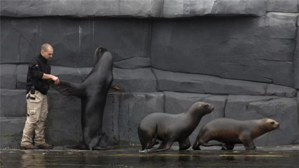 'Behind-the-scenes' visit at Paris Zoological Park