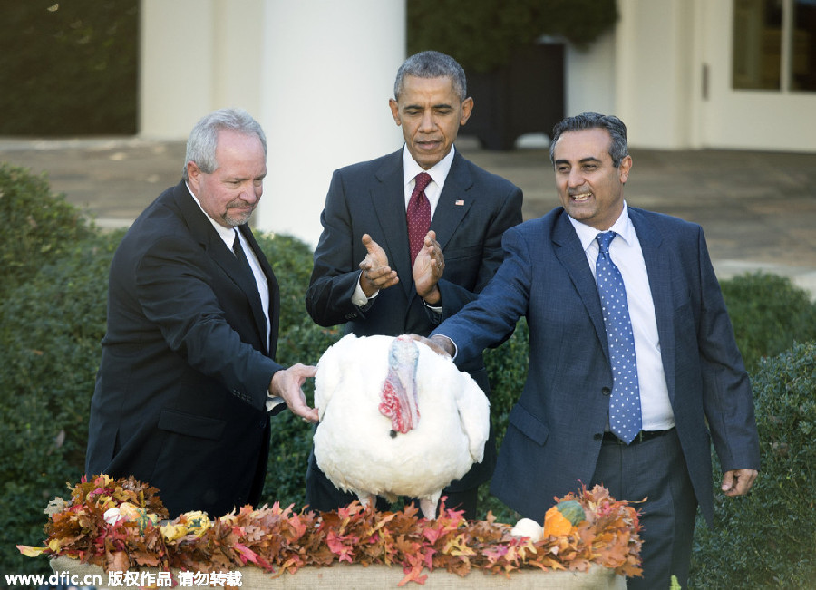 Obama pardons National Thanksgiving Turkey 'Abe'