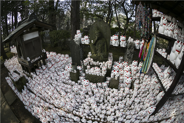 Thousands of beckoning cat on display in Japan's Goutoku Temple