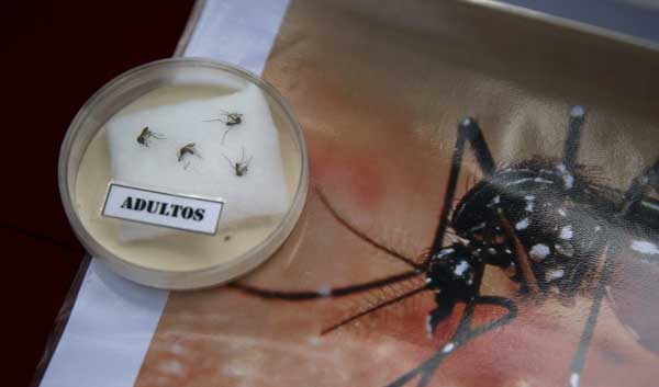 Peru registers first case of Zika