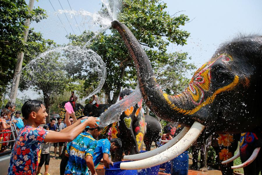 Water fight with elephants in Thailand
