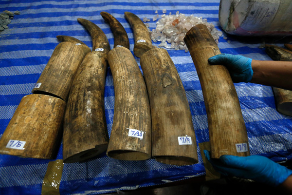 Thailand tightens up legislation to end illegal ivory trade