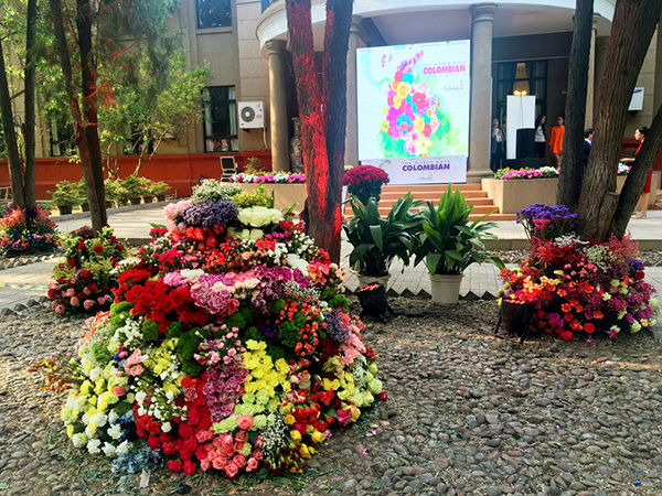 Thousands of flowers flown from Colombia to Beijing for showcase
