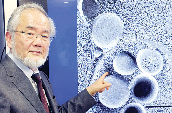 Japanese scientist wins Nobel for cell 'self-eating' studies