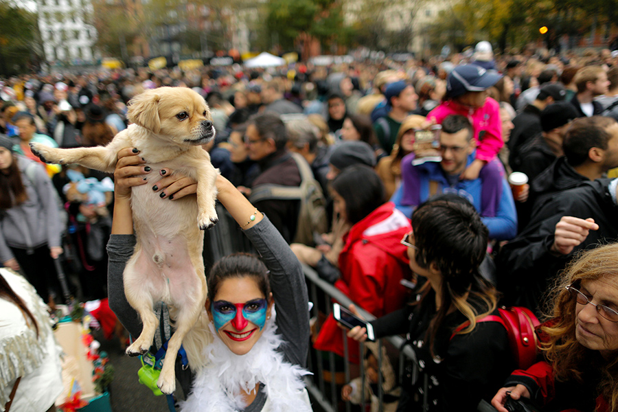 Dogs rock Halloween parade in NY