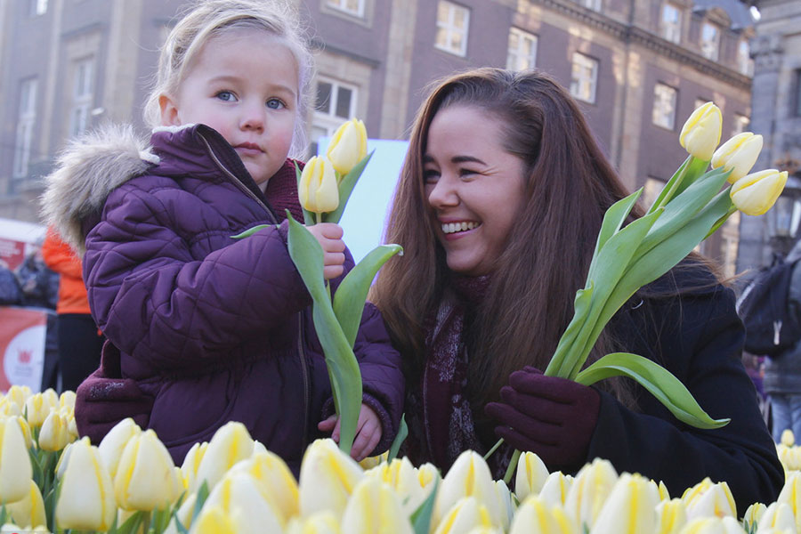 Amsterdam transforms into a tulip ocean on National Tulip Day