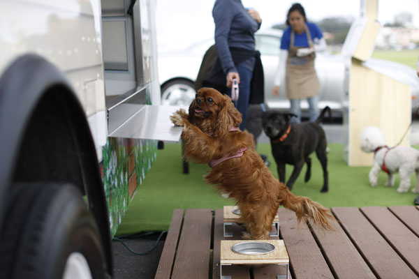 Food truck in San Francisco is going to the dogs