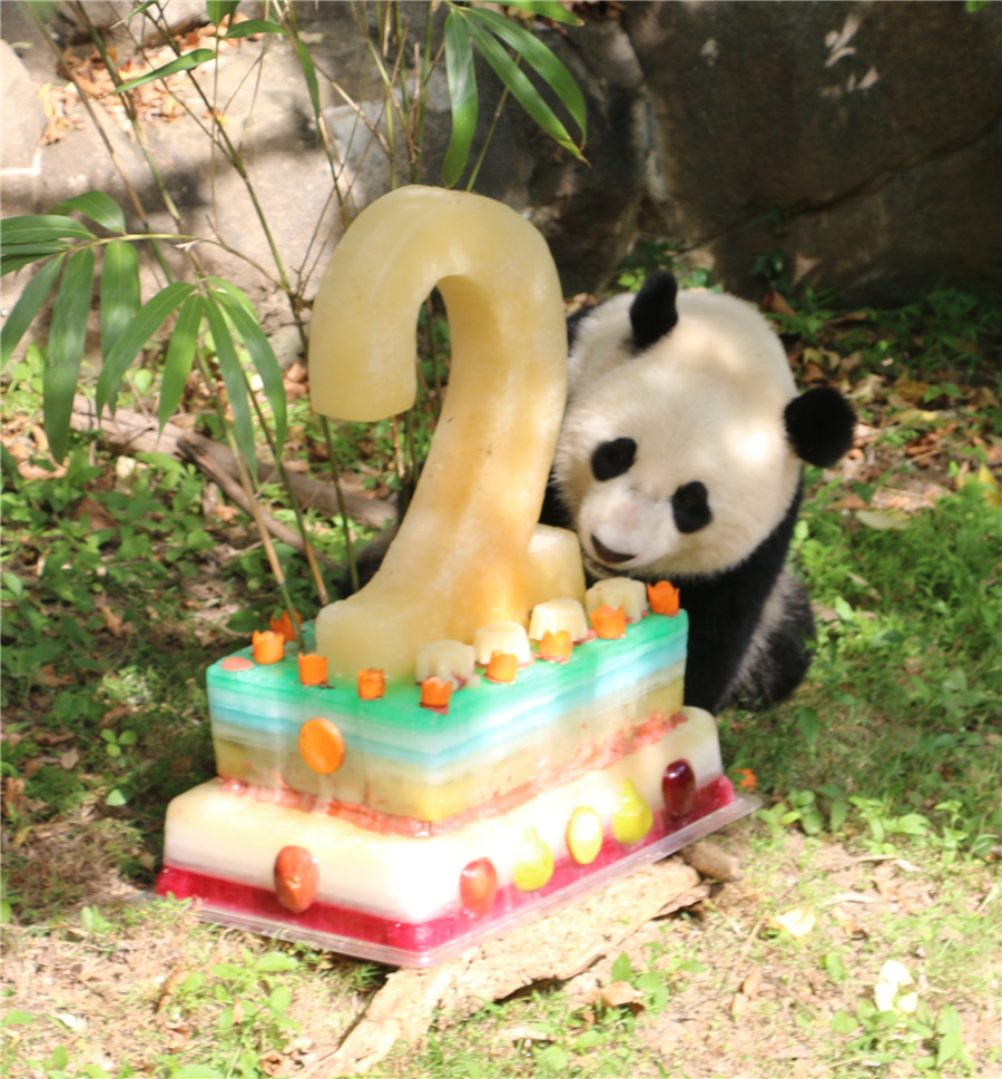 Giant panda Bao Bao celebrates two-year birthday