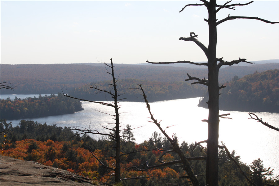 Autumn in Algonquin Park